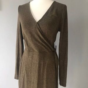EXPRESS-NEW Women’s Small Sweater Dress, Green